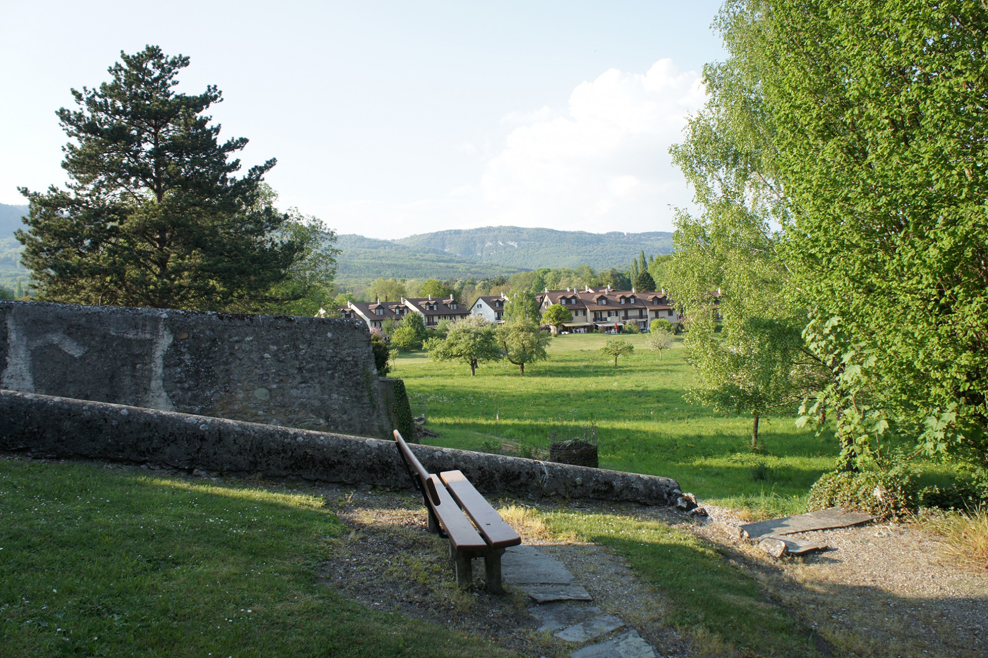 current-background-5.jpg